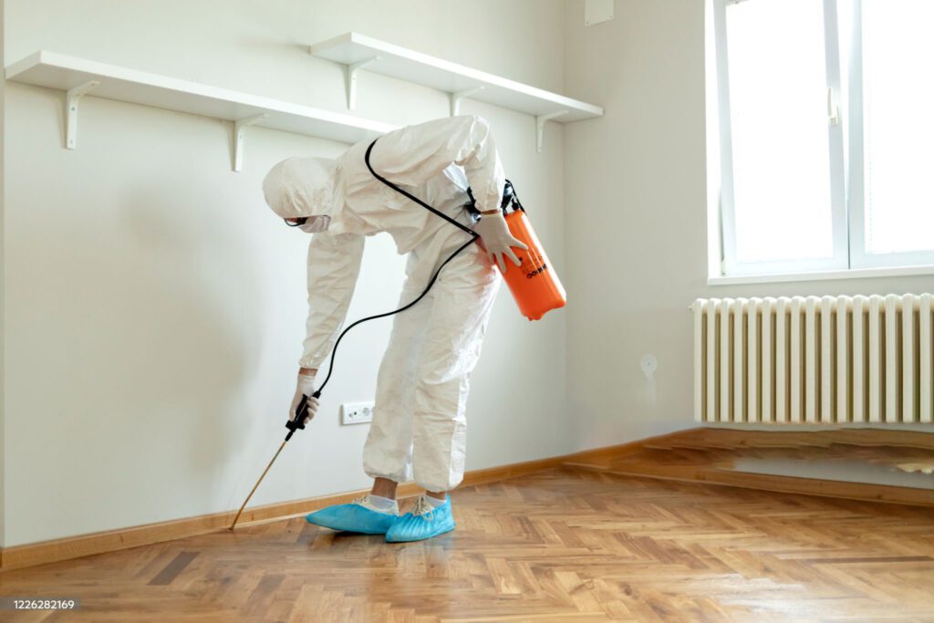 مكافحة الحشرات في الكويت