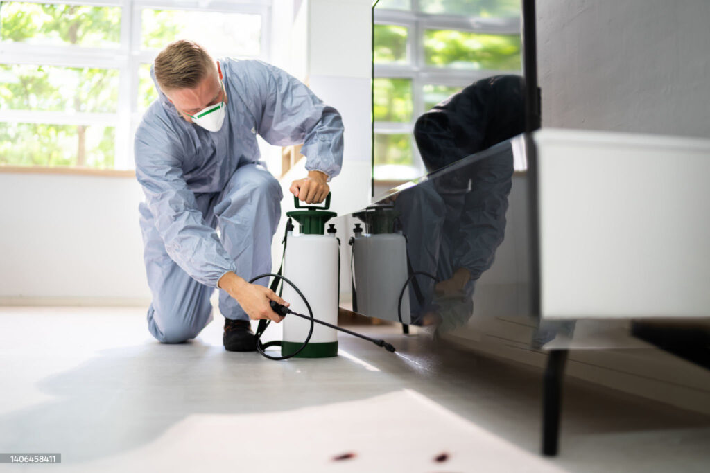 istockphoto-1406458411-2048x2048 » مكافحة الحشرات مكافحة النمل في الكويت