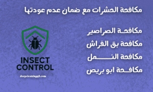 شركة مكافحة الحشرات » مكافحة الحشرات مكافحة الحشرات