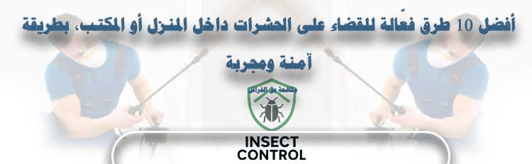 أفضل 10 طرق فعّالة للقضاء على الحشرات