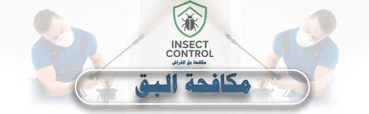 مكافحة بق الفراش