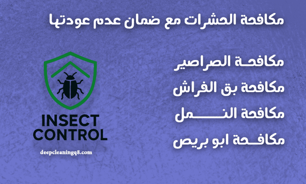 شركة مكافحة البق مكافحة البق